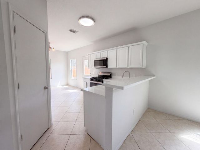 3911 Teal Vista Court 115, Fresno, TX 77545