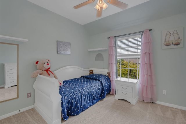 2404 Alta Monte DR, Cedar Park, TX 78613