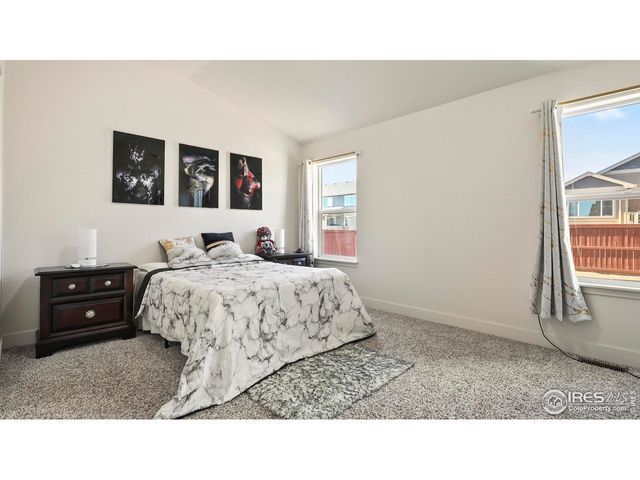 2304 Sublime Dr, Windsor, CO 80550