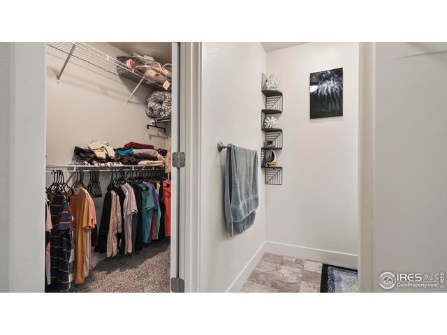 2304 Sublime Dr, Windsor, CO 80550