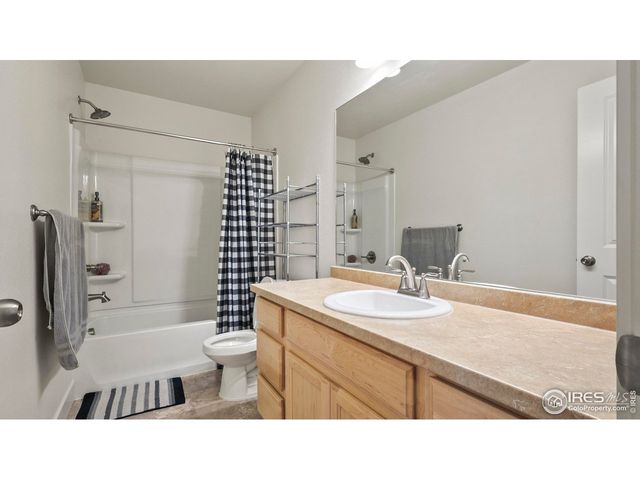 2304 Sublime Dr, Windsor, CO 80550
