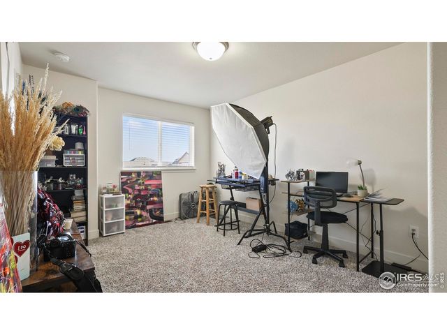 2304 Sublime Dr, Windsor, CO 80550