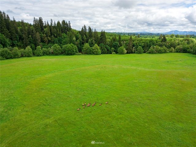 732 Satsop Road W, Montesano, WA 98563