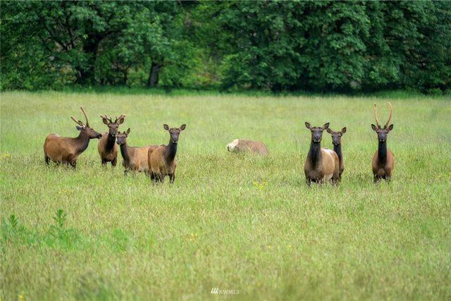 732 Satsop Road W, Montesano, WA 98563