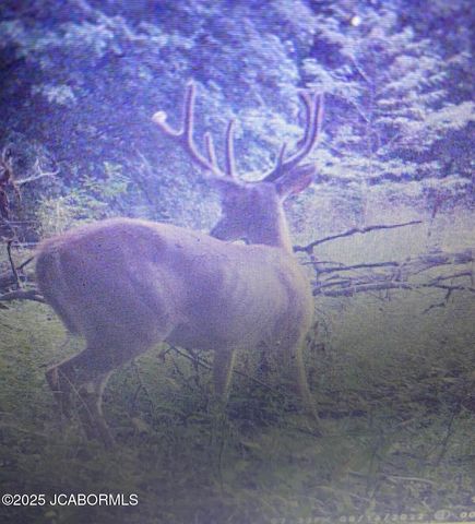 TBD N STATE HIGHWAY, California, MO 65018