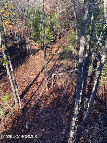 TBD N STATE HIGHWAY, California, MO 65018