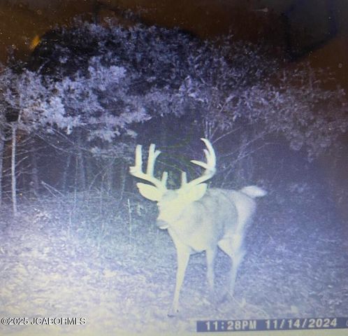 TBD N STATE HIGHWAY, California, MO 65018