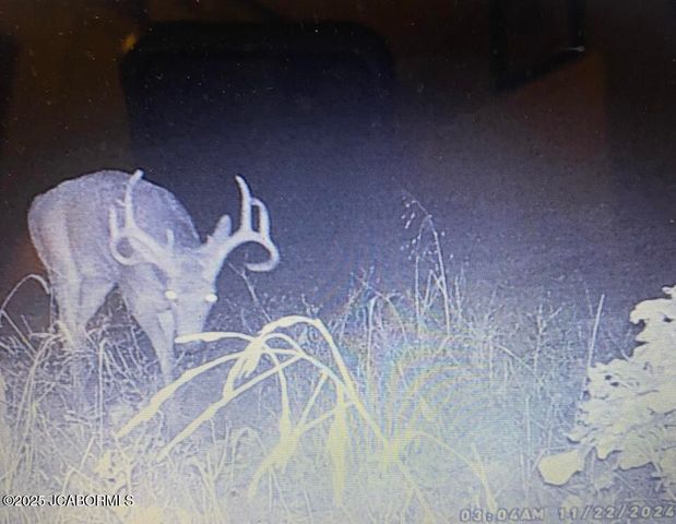 TBD N STATE HIGHWAY, California, MO 65018