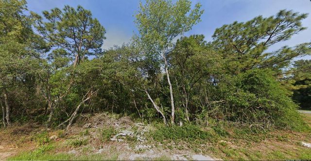 00 SW 133 Loop, Ocala, FL 34473