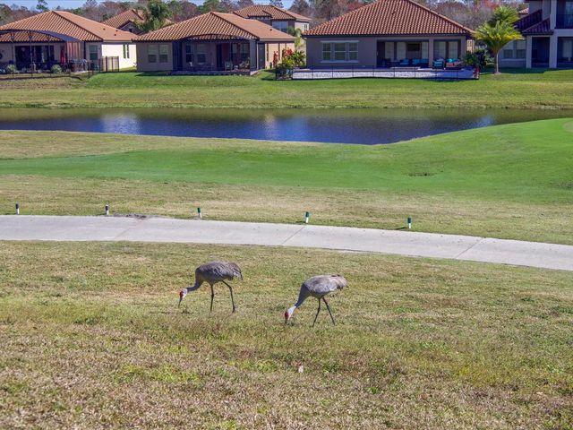 1816 CHADBURY LOOP, Davenport, FL 33837