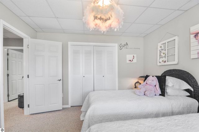 21233 Forest Trail, Big Rapids, MI 49307
