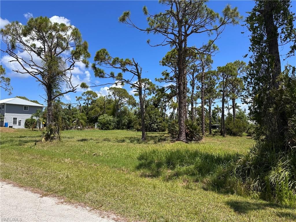 3728 Mango ST, ST. JAMES CITY, FL 33956 — photo 2