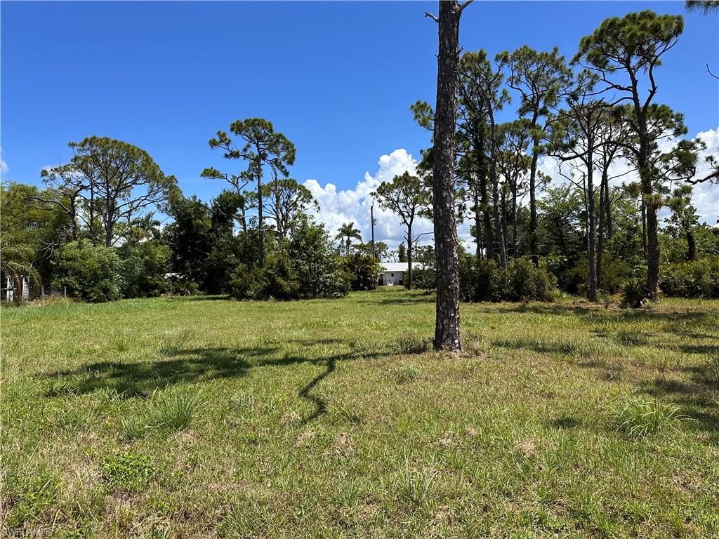 3728 Mango ST, ST. JAMES CITY, FL 33956 — photo 3