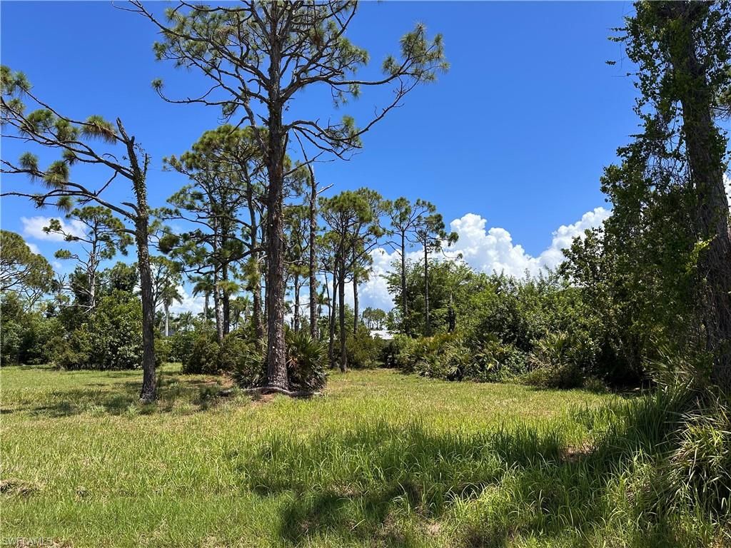 3728 Mango ST, ST. JAMES CITY, FL 33956 — photo 4