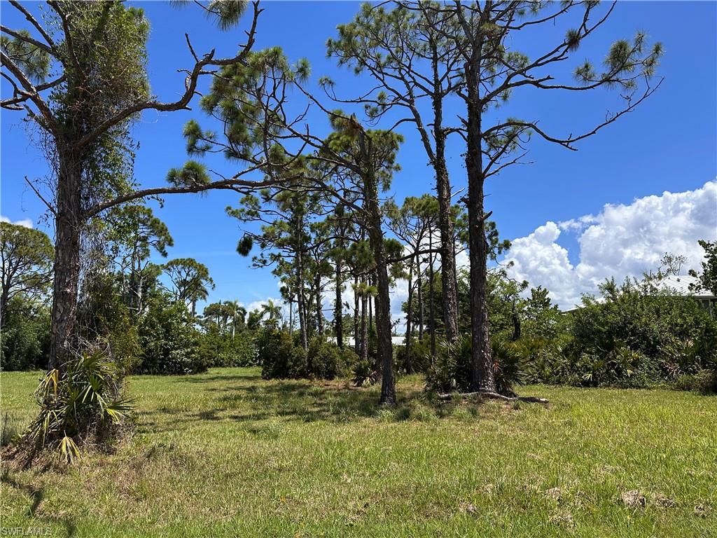 3728 Mango ST, ST. JAMES CITY, FL 33956 — photo 5