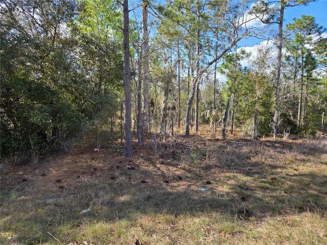 tbd NE 14TH PLACE, Williston, FL 32696