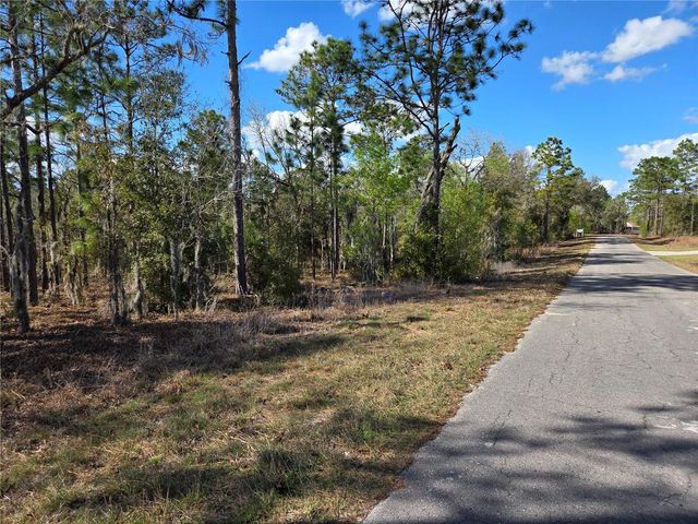 tbd NE 14TH PLACE, Williston, FL 32696