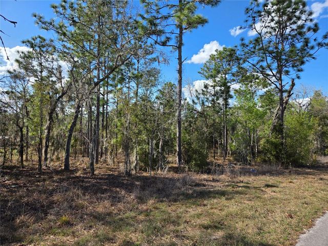 tbd NE 14TH PLACE, Williston, FL 32696