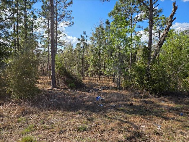 tbd NE 14TH PLACE, Williston, FL 32696