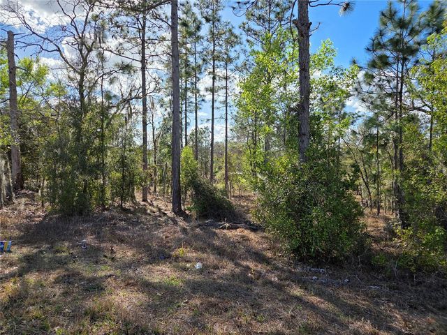 tbd NE 14TH PLACE, Williston, FL 32696
