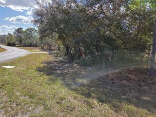 tbd NE 14TH PLACE, Williston, FL 32696