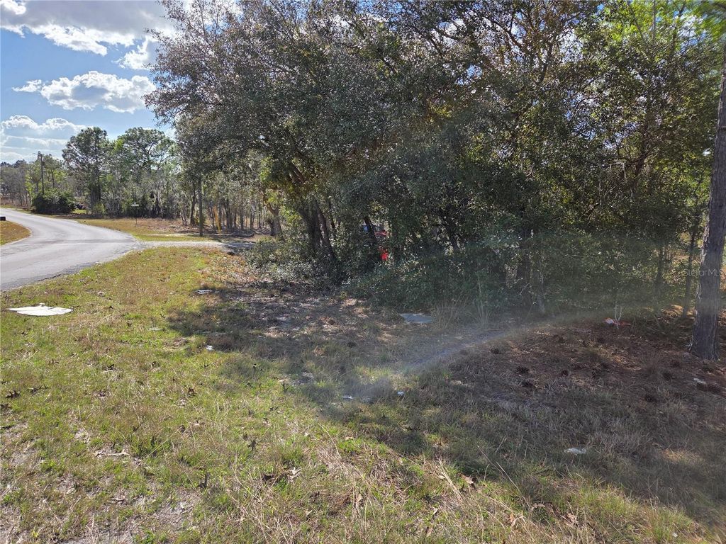 tbd NE 14TH PLACE, Williston, FL 32696