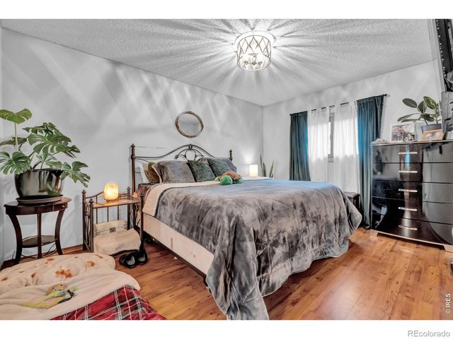 2838 Morgan Court, Fort Collins, CO 80526