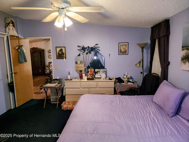 14440 rialto Avenue, Brooksville, FL 34613