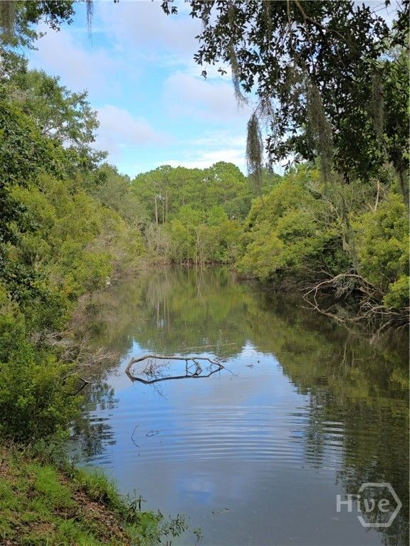 Image 40 of property listing at 22651 Ga Highway 144, Richmond Hill, GA 31324