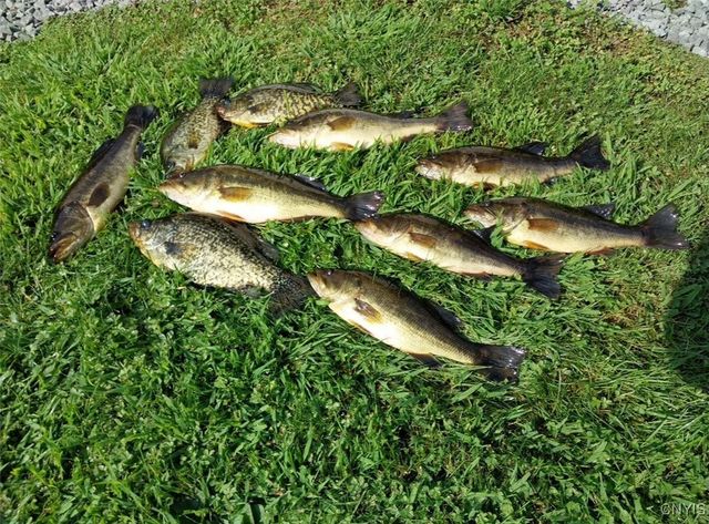 149 Blue Pike Drive, Rossie, NY 13608