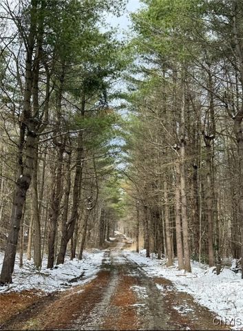 149 Blue Pike Drive, Rossie, NY 13608