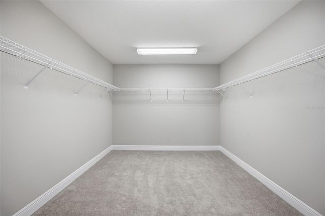 18036 RAMBLE ON WAY, Land O Lakes, FL 34638