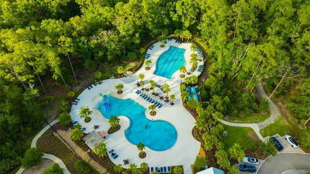 18036 RAMBLE ON WAY, Land O Lakes, FL 34638