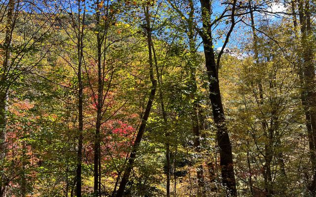 TR 1 Tusquittee Road, Hayesville, NC 28904
