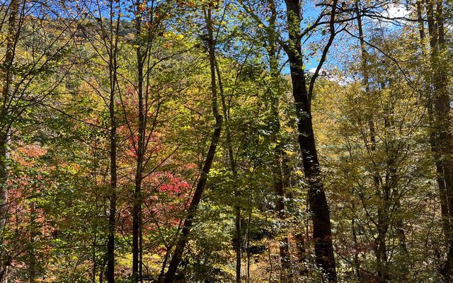 TR 1 Tusquittee Road, Hayesville, NC 28904