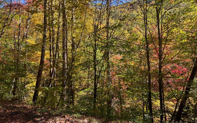 TR 1 Tusquittee Road, Hayesville, NC 28904