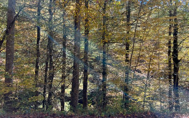 TR 1 Tusquittee Road, Hayesville, NC 28904