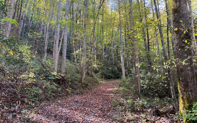 TR 1 Tusquittee Road, Hayesville, NC 28904