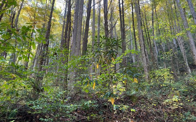 TR 1 Tusquittee Road, Hayesville, NC 28904