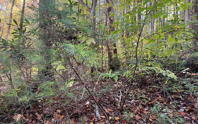 TR 1 Tusquittee Road, Hayesville, NC 28904