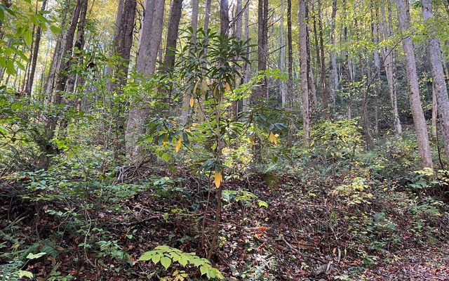 TR 1 Tusquittee Road, Hayesville, NC 28904