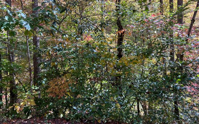TR 1 Tusquittee Road, Hayesville, NC 28904