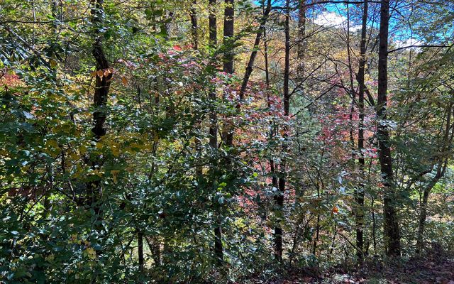 TR 1 Tusquittee Road, Hayesville, NC 28904