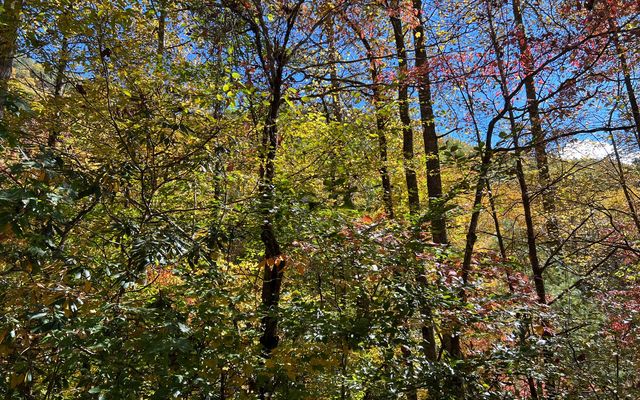 TR 1 Tusquittee Road, Hayesville, NC 28904