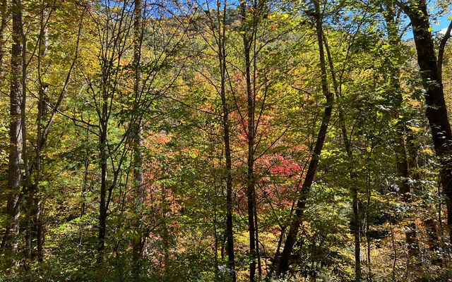 TR 1 Tusquittee Road, Hayesville, NC 28904