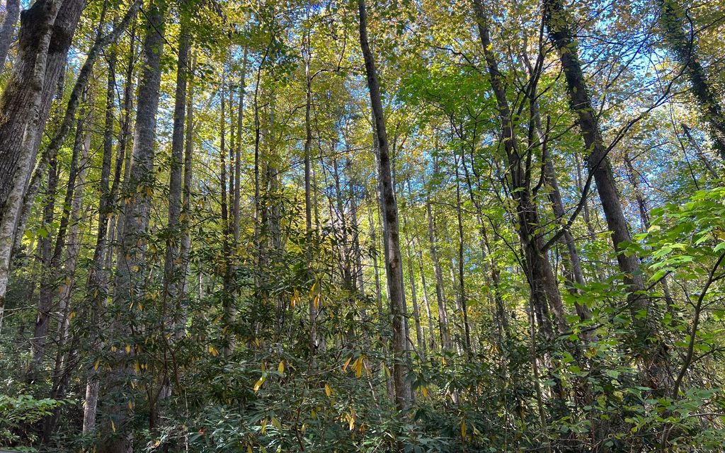 TR 1 Tusquittee Road, Hayesville, NC 28904