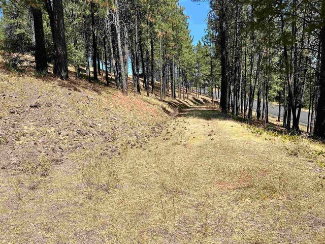13110 S Fairway Ridge Ln, Spokane, WA 99224