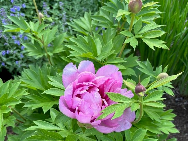 14 Colonial Sq Unit 14, Peterborough, NH 03458