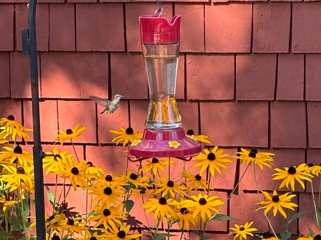 14 Colonial Sq Unit 14, Peterborough, NH 03458