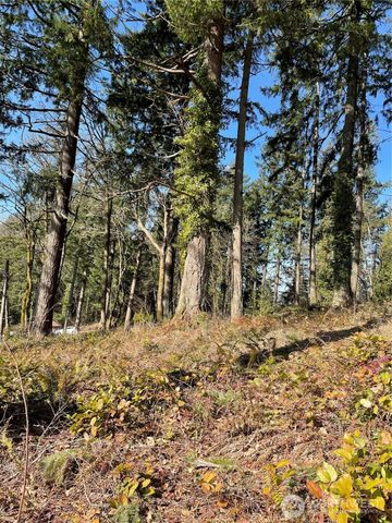 425 SE Hilltop Drive, Chehalis, WA 98532